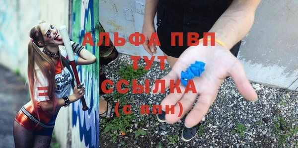 гидра Алексин