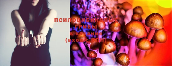 ГАЛЛЮЦИНОГЕННЫЕ ГРИБЫ Абаза