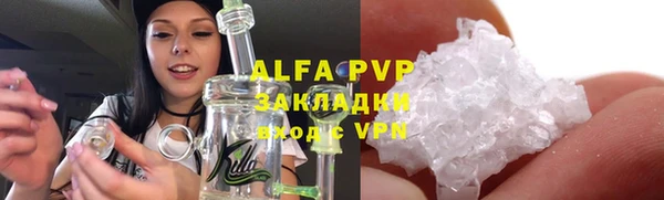 гидра Алексин