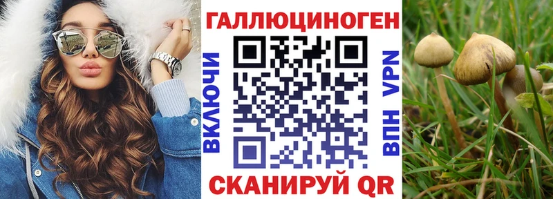 Псилоцибиновые грибы Magic Shrooms  где можно купить наркотик  MEGA ссылки  Отрадное 